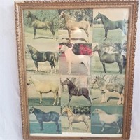 Print of Horses