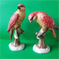 Pair of Porcellan parrots