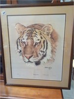 Harold Rigsby  siberian Tiger print