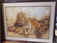 Jim Oliver  wildlife Lion print