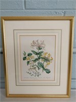 Antique Hand-colored Lithograph 1846