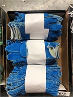 (3) Dozen Gloves - Blue
