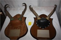 2 Antelope horn mounts