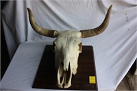 Cow skull mount