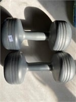 2-10 lb dumbell weights