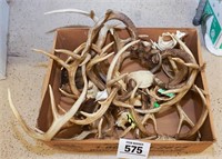 Box of assorted antlers