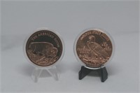 (2) One Ounce .999 copper rounds