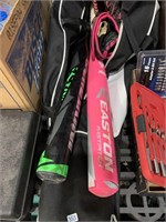 2 bats, 2 gloves and carrying case