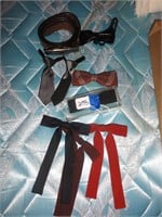Assorted Ties - Belt