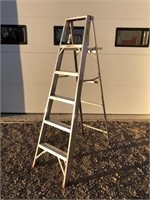 Werner 6 foot aluminum step ladder