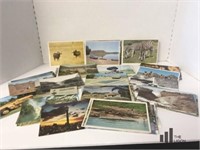 South African Postcard Collection