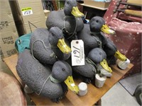 6 - duck decoys w/ carrying bag