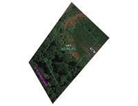 The Hamilton Estate Lake Property - Rocky Top TN