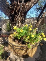 Hanging Planter, Megal W/ Mulch, Yellow Flowers
