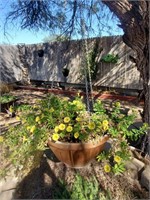 Hanging Plastic Planter W/ Yellow Flowers