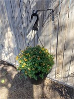 Hanging Planter W/ Bracket, Yellow Flowers