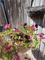 Hanging Plastic Planter W/ Pink & Purple Flowers