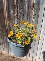 Gray Plastic Hanging Basket W/ Yellow Flowers