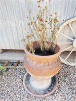 Terra Cotta Planter W/ Flowers