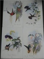 Hummingbird Plaques
