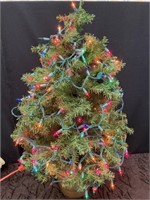 32” Lighted Christmas Tree in Pot