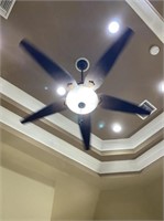 Ceiling Fan