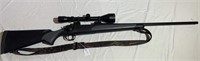 Remington Model 700 25-06