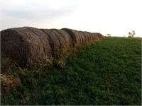 Alfalfa Hay 1st  cutting selling 30 bales 2020 hay