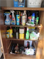 Cabinet contents #1
