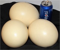 3 Real Ostrich Eggs for Decorating Crafts