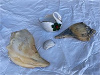 Lot of conch assortment & duck pottery