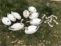 Hunting, 12 snow geese decoys