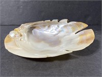 Iridescent sea shell art dish