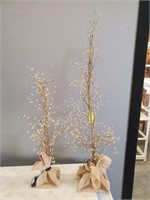 POTTERY BARN LIGHTED TREES