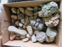 box of rocks, fossils, quartz, etc
