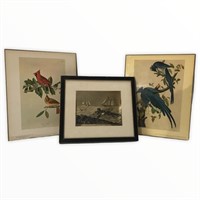 Signed Lionel Barrymore and Audubon Prints