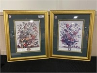 Pair Botanical Framed Pictures