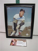 Ted Williams 8 x 10 Framed Signed Photo