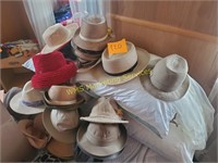 Mens and Womens Assorted Hats