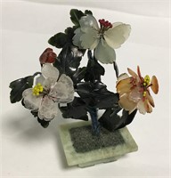 Miniature Jade Tree