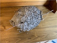 WASP HORNET BEE HIVE NEST