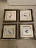LOT OF 4 MODERN FRAMED BIRD PICTURES