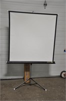 Da-Lite movie projector screen