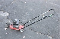 Gas powered lawn edger, tested - info