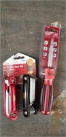 ACE 6-n-1 Screwdriver & 17-pc HEX Key Set