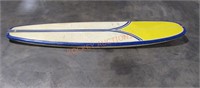 Surf Board From Selinsgrove Surf Shop;
