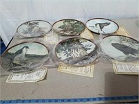 Hamilton Birds of Prey collector plates