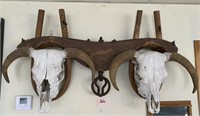ANTIQUE DOUBLE OXEN YOKE AND SKULLS