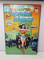 Wonder Women Hard Board Picture