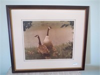 Signed Numbered Geese Photo 30"x27"